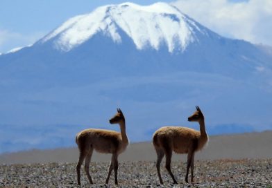 Las montañas, que albergan el 80% de agua dulce mundial, están en riesgo
